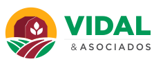 Vidal Logo